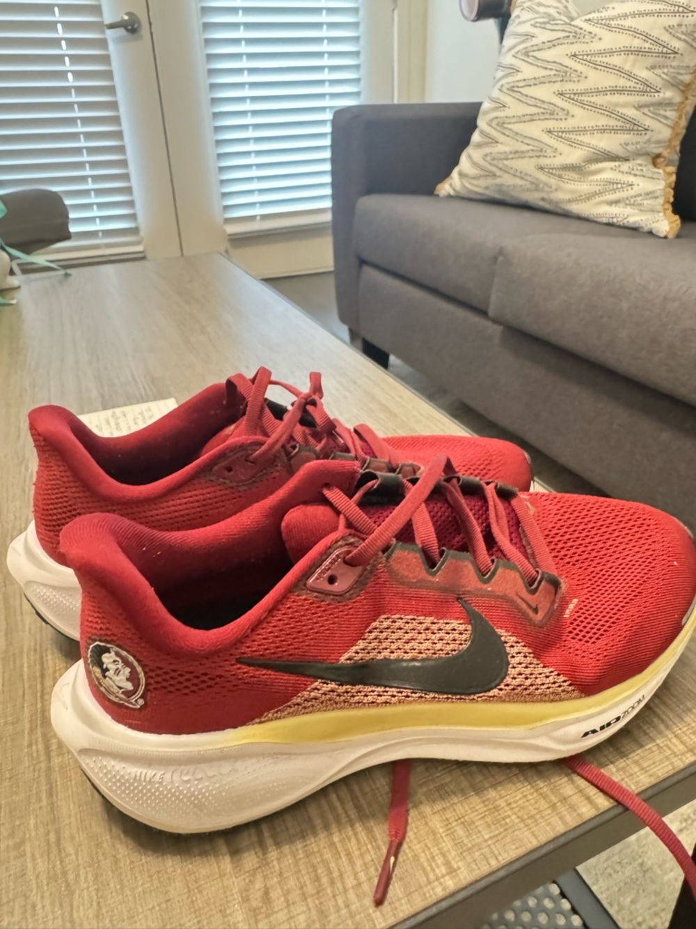 Nike FSU Running Shoes